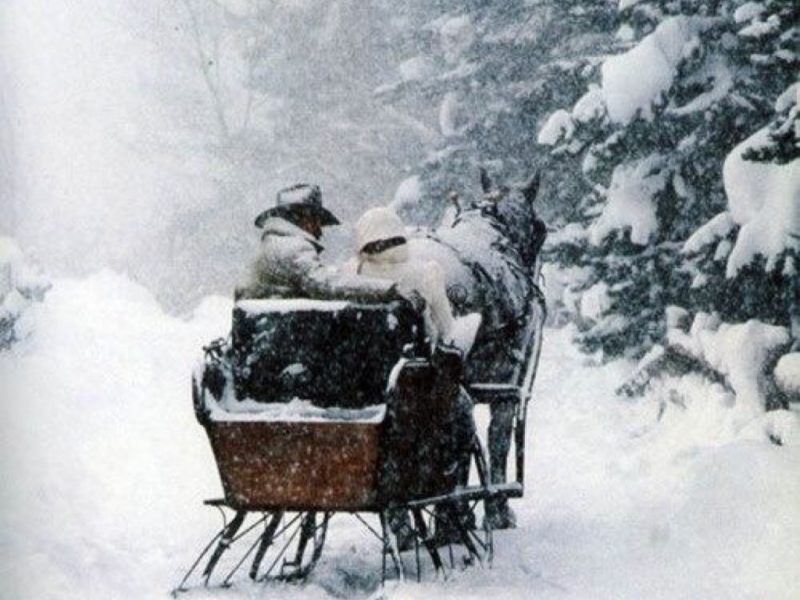 sleigh ride in the snow