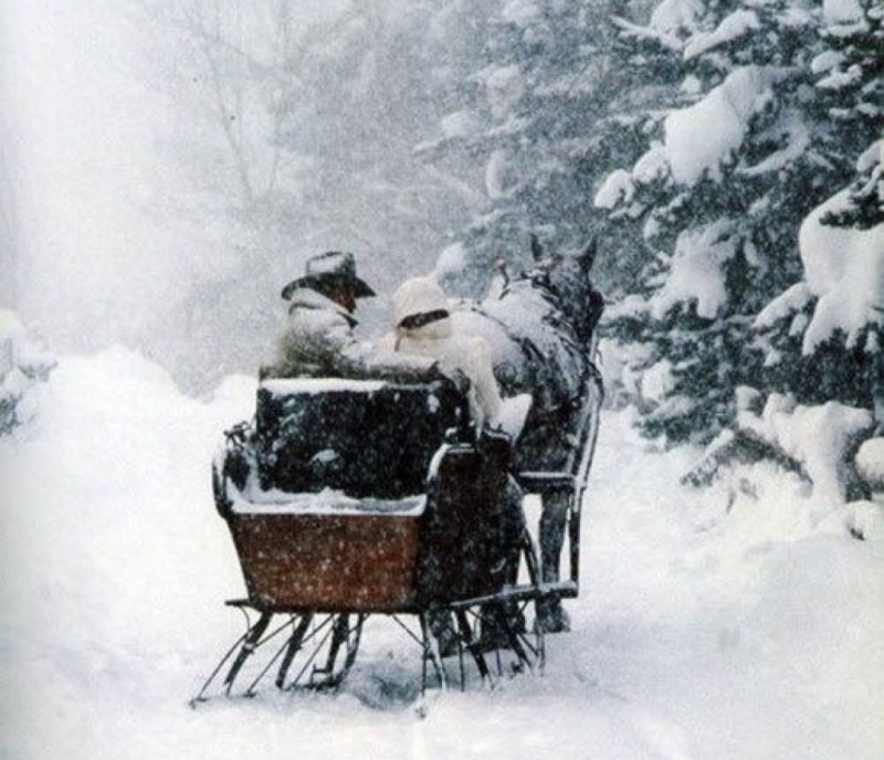 sleigh ride in the snow